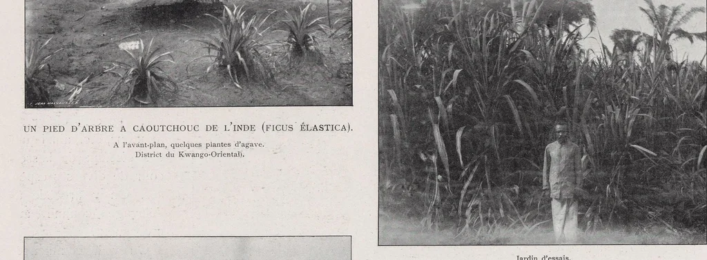 An illustration from Congo-Noël; publié au profit de la Villa coloniale (Sanatorium de Watermael), 1902, leaf 86