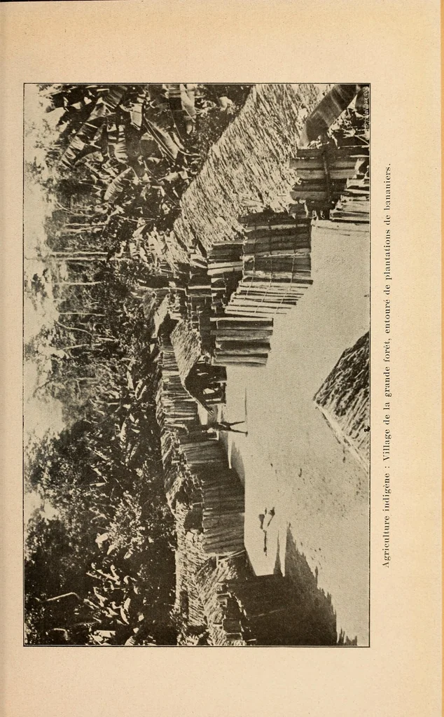 An illustration from Congo : revue générale de la Colonie belge = Congo : Algemeen tiidschrift van de Belgische Kolonje, 1920, leaf 543