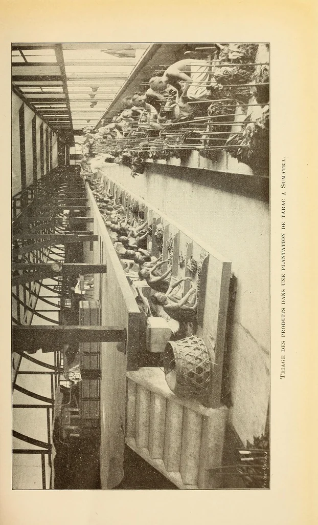 An illustration from Congo : revue générale de la Colonie belge = Congo : Algemeen tiidschrift van de Belgische Kolonje, 1920, leaf 81