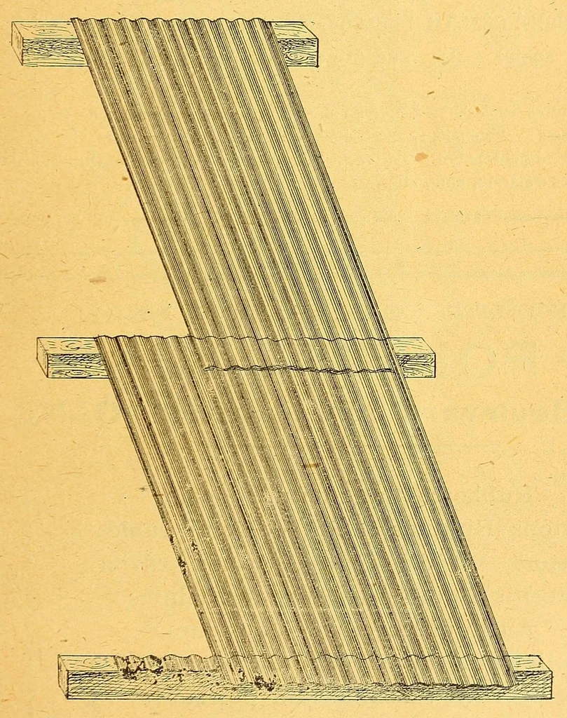 An illustration from Congo : revue générale de la Colonie belge = Congo : Algemeen tiidschrift van de Belgische Kolonje, 1920, leaf 5