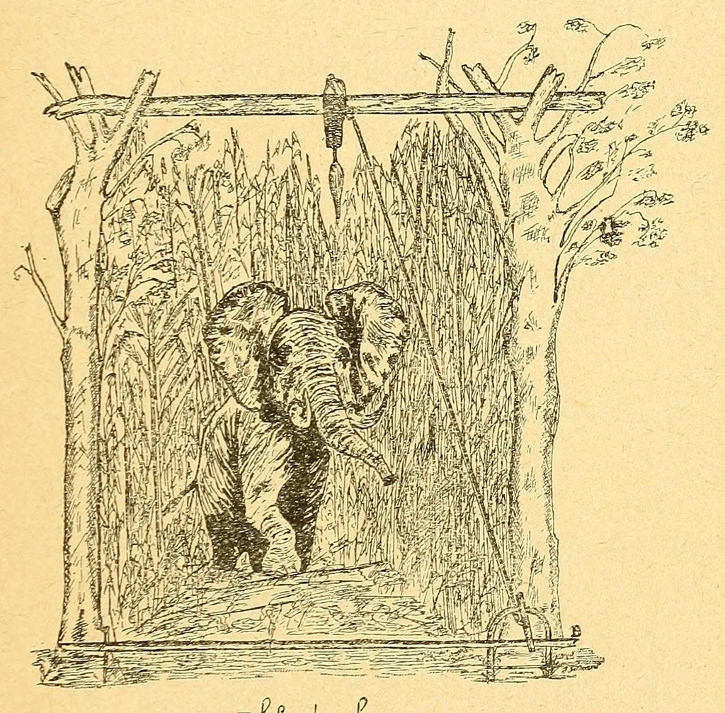 An illustration from Congo : revue générale de la Colonie belge = Congo : Algemeen tiidschrift van de Belgische Kolonje, 1920, leaf 75