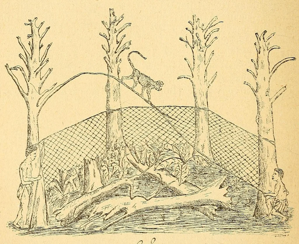 An illustration from Congo : revue générale de la Colonie belge = Congo : Algemeen tiidschrift van de Belgische Kolonje, 1920, leaf 78