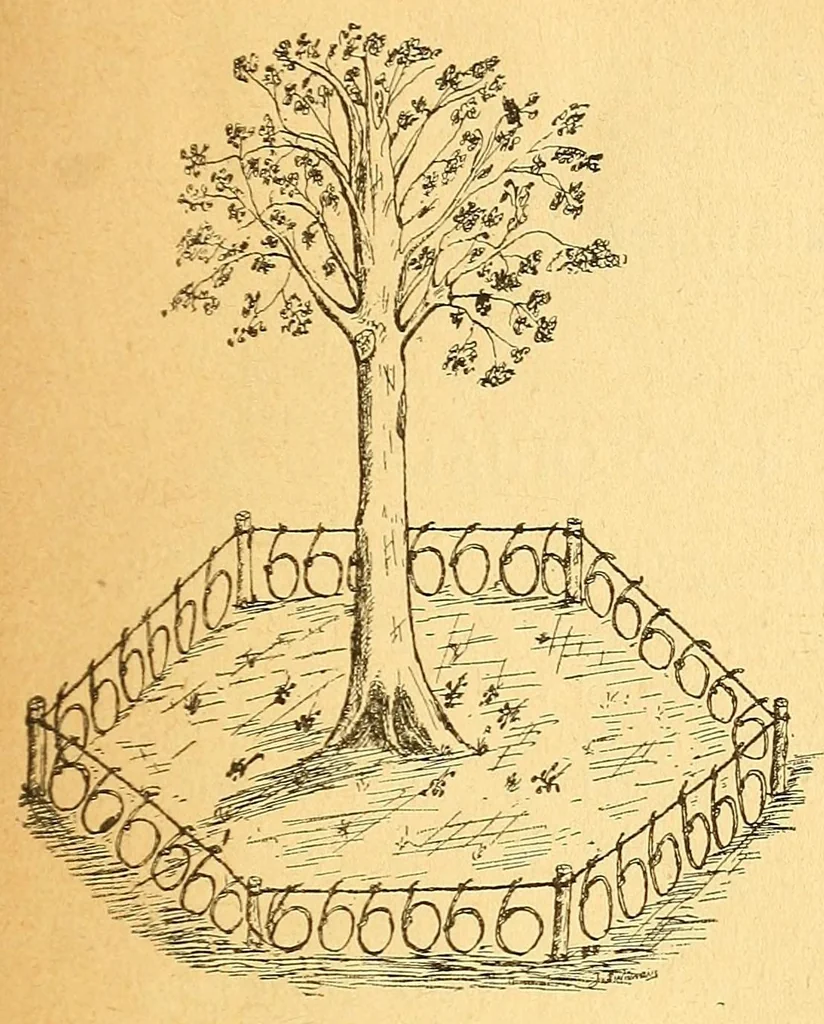 An illustration from Congo : revue générale de la Colonie belge = Congo : Algemeen tiidschrift van de Belgische Kolonje, 1920, leaf 81