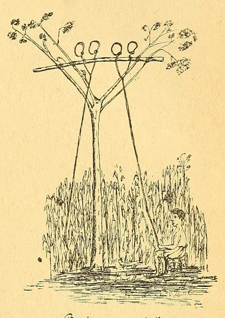 An illustration from Congo : revue générale de la Colonie belge = Congo : Algemeen tiidschrift van de Belgische Kolonje, 1920, leaf 81