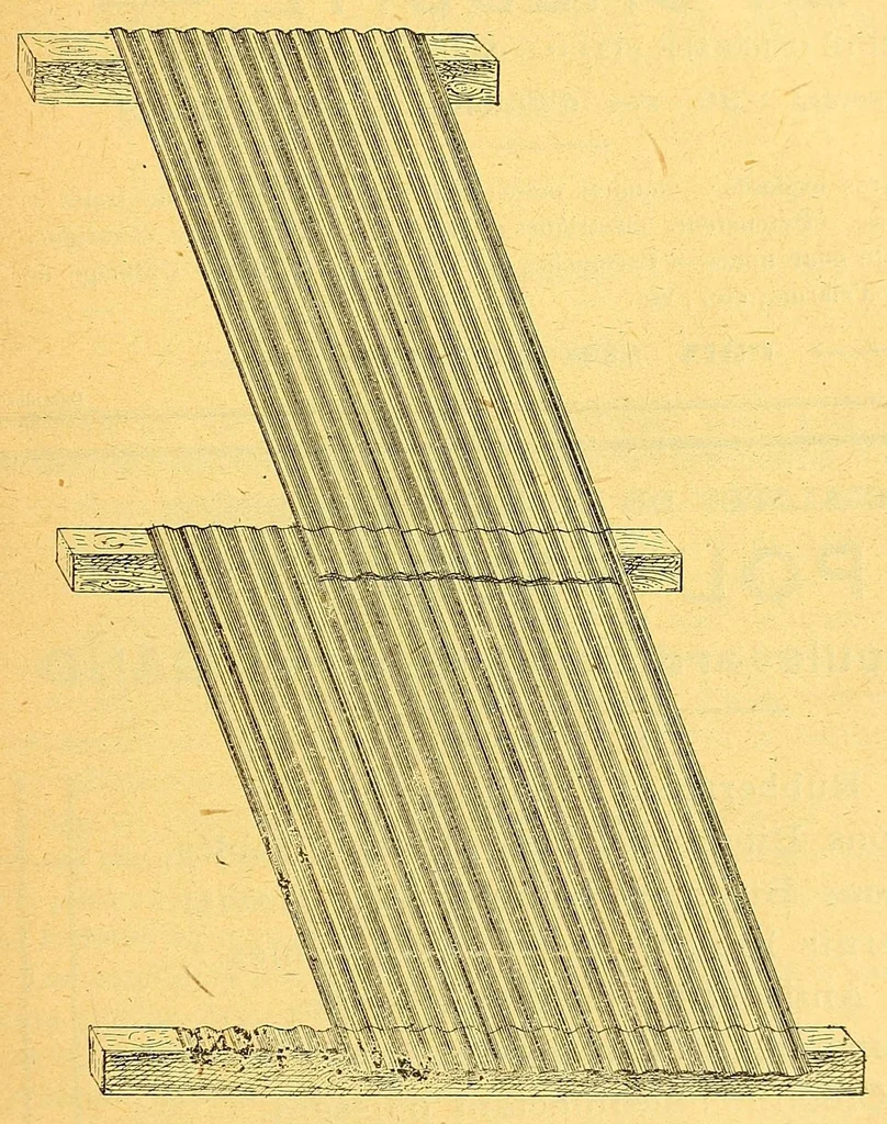 An illustration from Congo : revue générale de la Colonie belge = Congo : Algemeen tiidschrift van de Belgische Kolonje, 1920, leaf 5