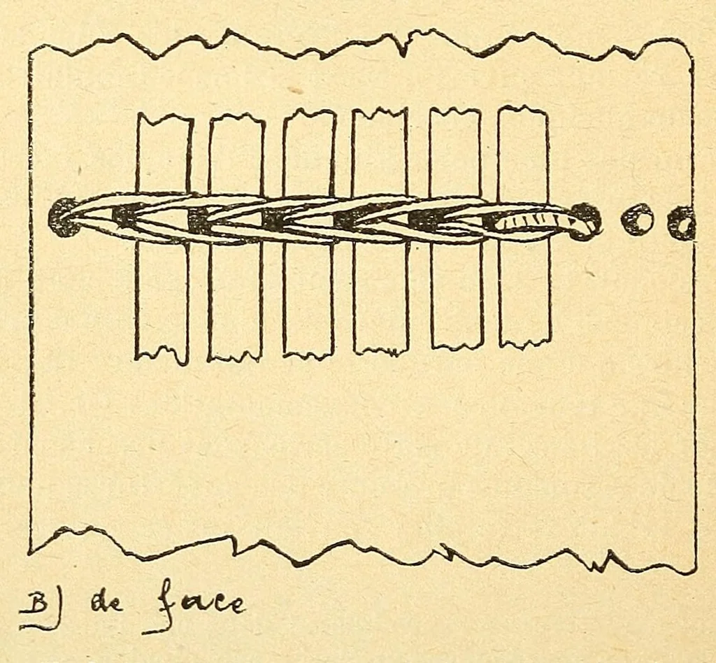 An illustration from Congo : revue générale de la Colonie belge = Congo : Algemeen tiidschrift van de Belgische Kolonje, 1920, leaf 34