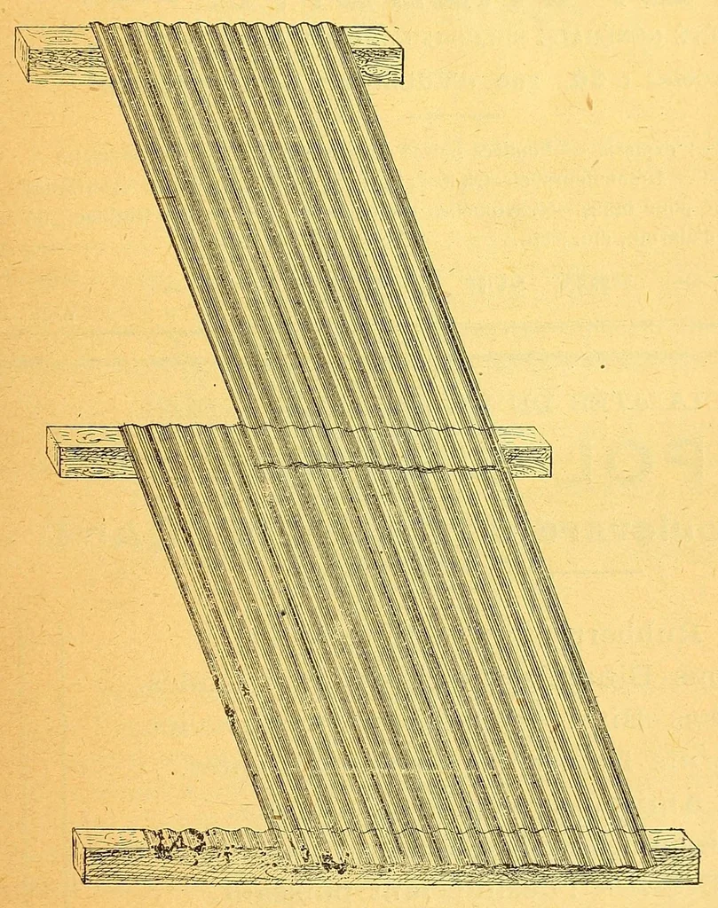 An illustration from Congo : revue générale de la Colonie belge = Congo : Algemeen tiidschrift van de Belgische Kolonje, 1920, leaf 5