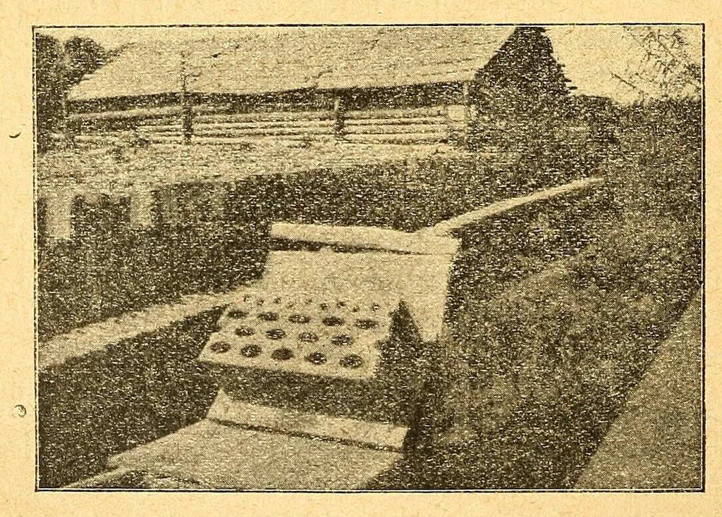 An illustration from Congo : revue générale de la Colonie belge = Congo : Algemeen tiidschrift van de Belgische Kolonje, 1920, leaf 120