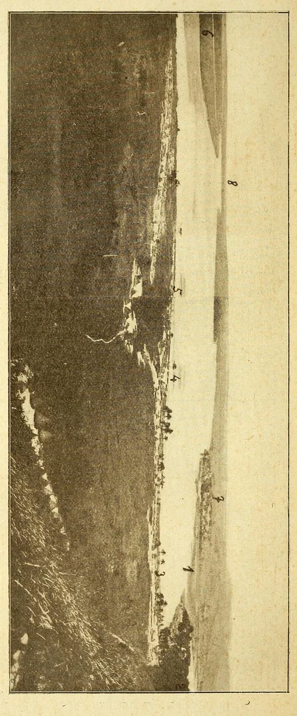 An illustration from Congo : revue générale de la Colonie belge = Congo : Algemeen tiidschrift van de Belgische Kolonje, 1920, leaf 34