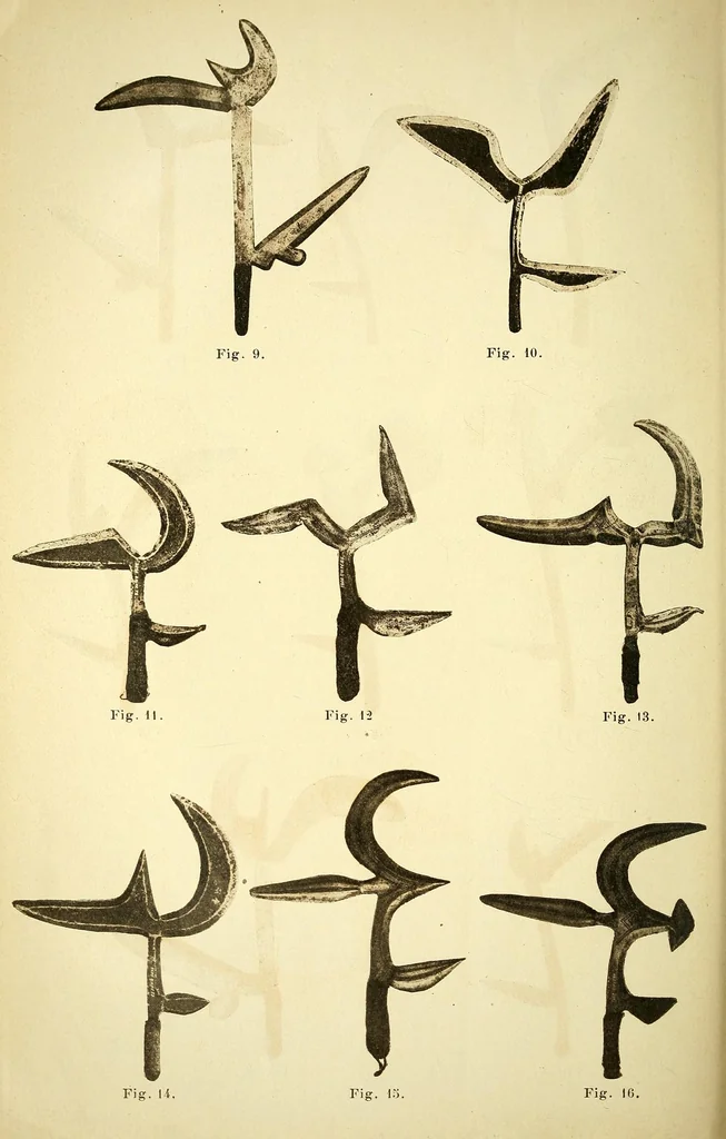 An illustration from Congo : revue générale de la Colonie belge = Congo : Algemeen tiidschrift van de Belgische Kolonje, 1920, leaf 50