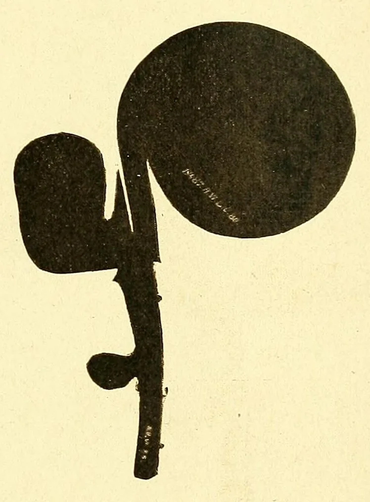 An illustration from Congo : revue générale de la Colonie belge = Congo : Algemeen tiidschrift van de Belgische Kolonje, 1920, leaf 51