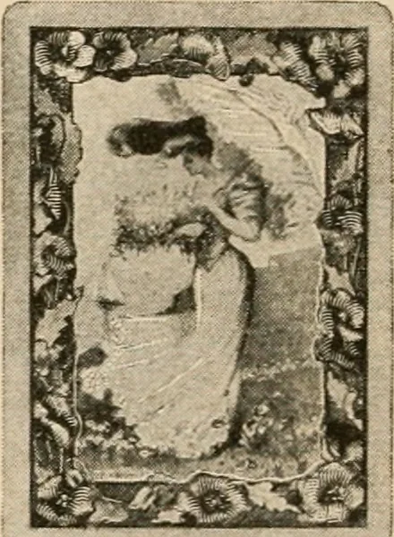 An illustration from Congress playing cards in miniature., 1903, leaf 19