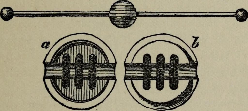An illustration from Conjuring tricks with coins, watches, rings and handkerchiefs; from "Modern magic", 1900, leaf 100