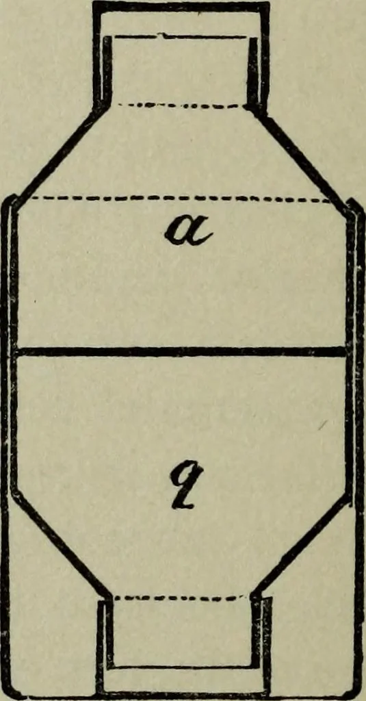 An illustration from Conjuring tricks with coins, watches, rings and handkerchiefs; from "Modern magic", 1900, leaf 113