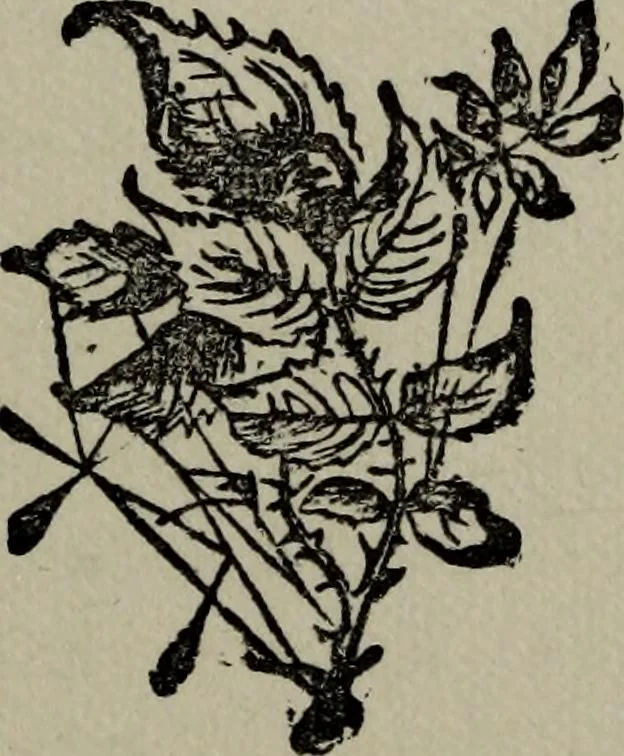 An illustration from Conjuring tricks with coins, watches, rings and handkerchiefs; from "Modern magic", 1900, leaf 92