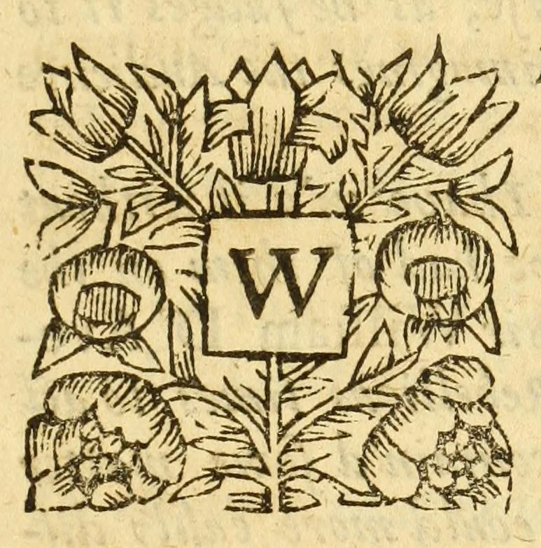 An illustration from The conquest of Granada by the Spaniards : in two parts : acted at the Theater-Royall, 1672, leaf 21