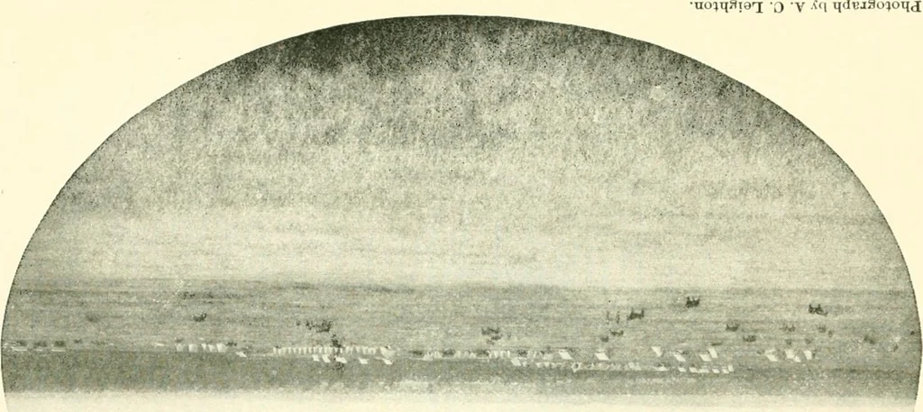 An illustration from The conquest of the Missouri; being the story of the life and exploits of Captain Grant Marsh, 1909, leaf 242