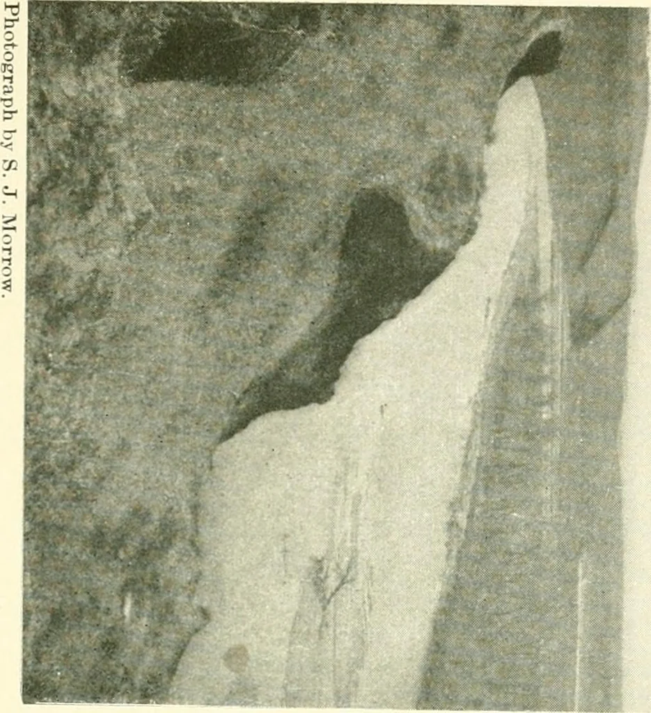 An illustration from The conquest of the Missouri; being the story of the life and exploits of Captain Grant Marsh, 1909, leaf 328