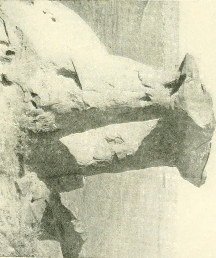 An illustration from The conquest of the Missouri; being the story of the life and exploits of Captain Grant Marsh, 1909, leaf 328