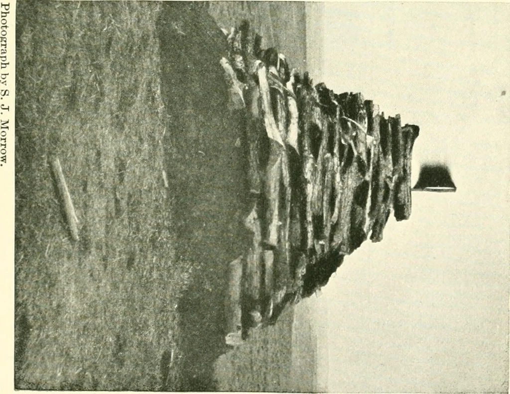An illustration from The conquest of the Missouri; being the story of the life and exploits of Captain Grant Marsh, 1909, leaf 364