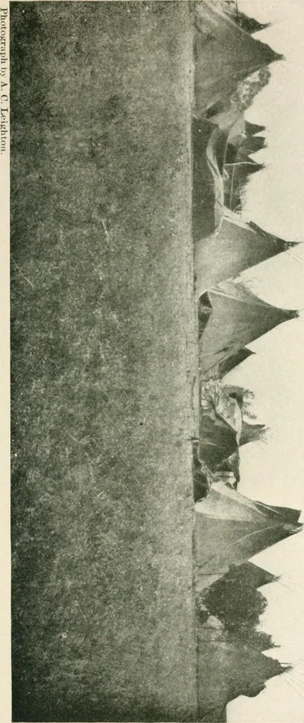 An illustration from The conquest of the Missouri; being the story of the life and exploits of Captain Grant Marsh, 1909, leaf 112
