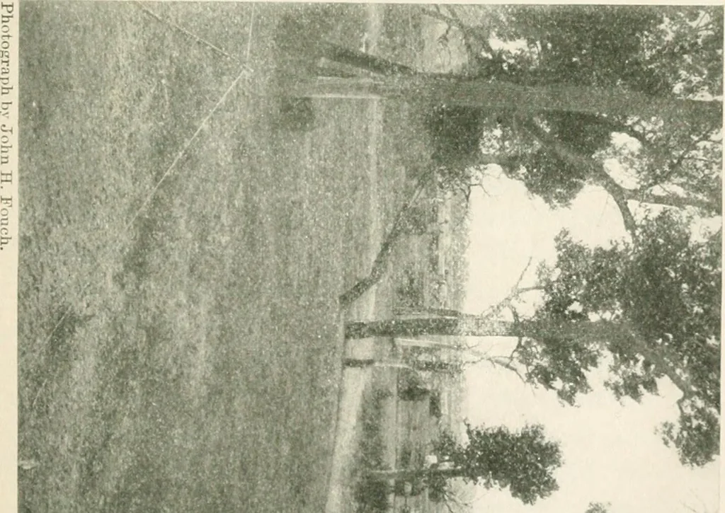 An illustration from The conquest of the Missouri; being the story of the life and exploits of Captain Grant Marsh, 1909, leaf 274
