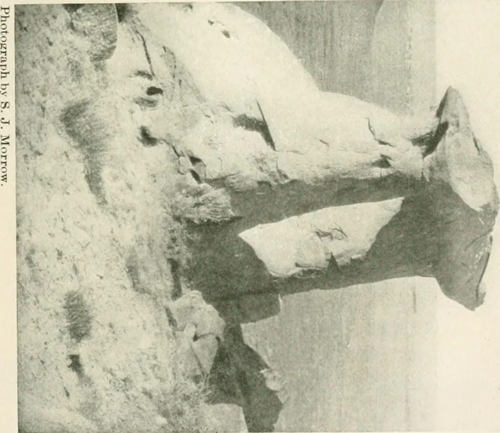An illustration from The conquest of the Missouri; being the story of the life and exploits of Captain Grant Marsh, 1909, leaf 322