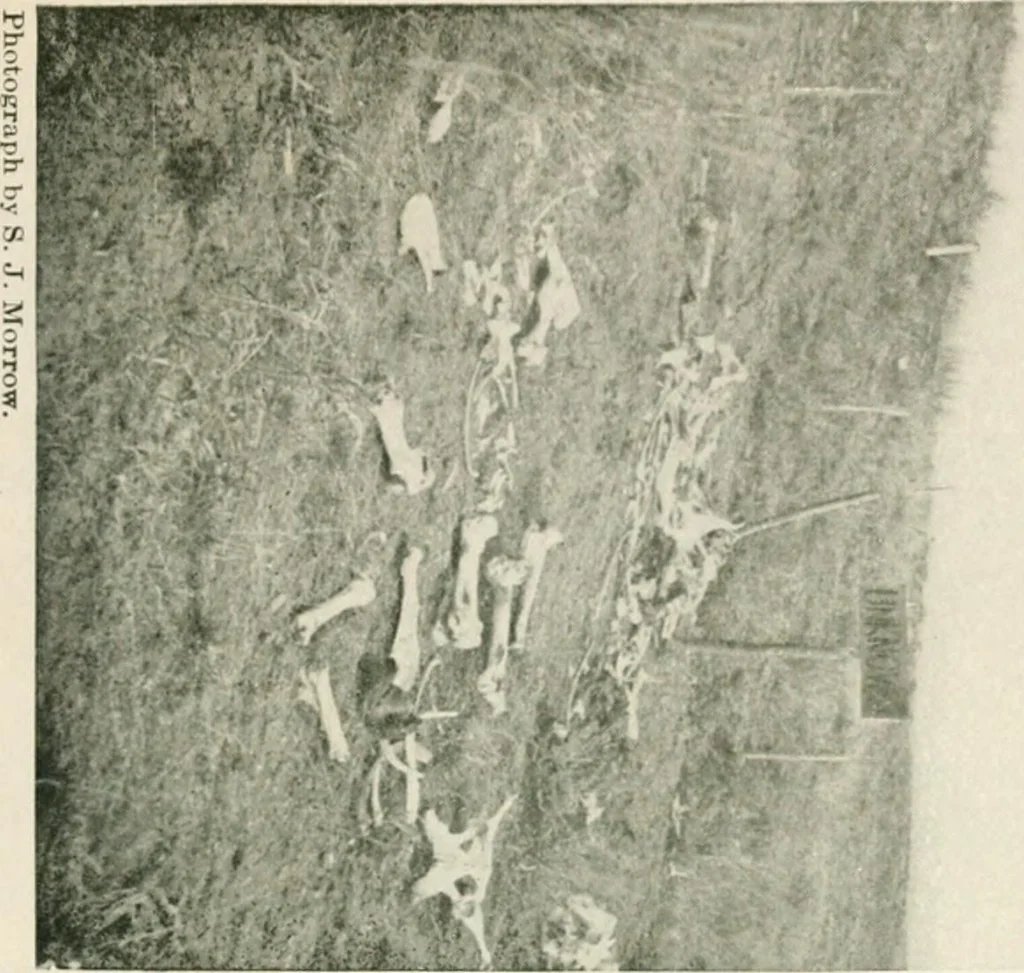 An illustration from The conquest of the Missouri; being the story of the life and exploits of Captain Grant Marsh, 1909, leaf 352