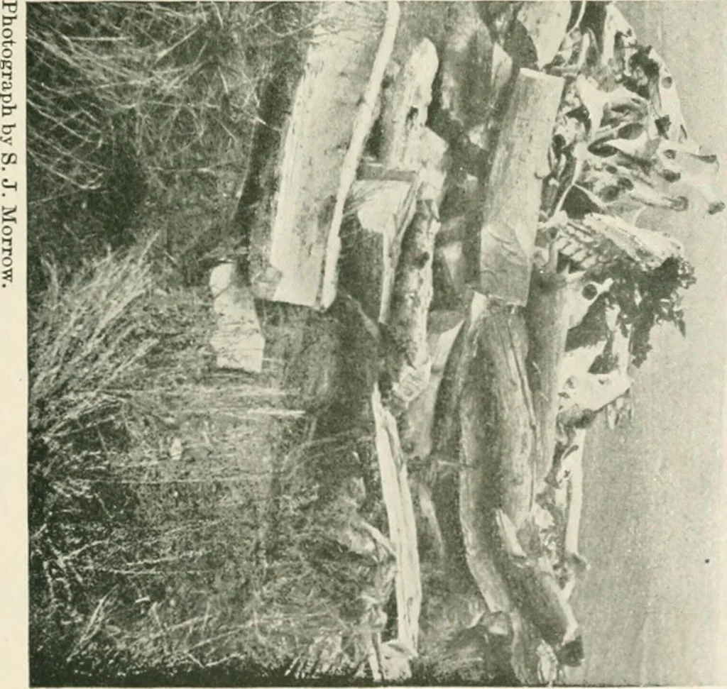 An illustration from The conquest of the Missouri; being the story of the life and exploits of Captain Grant Marsh, 1909, leaf 352