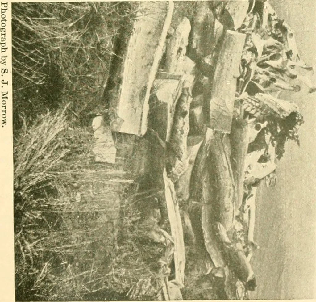 An illustration from The conquest of the Missouri; being the story of the life and exploits of Captain Grant Marsh, 1909, leaf 354