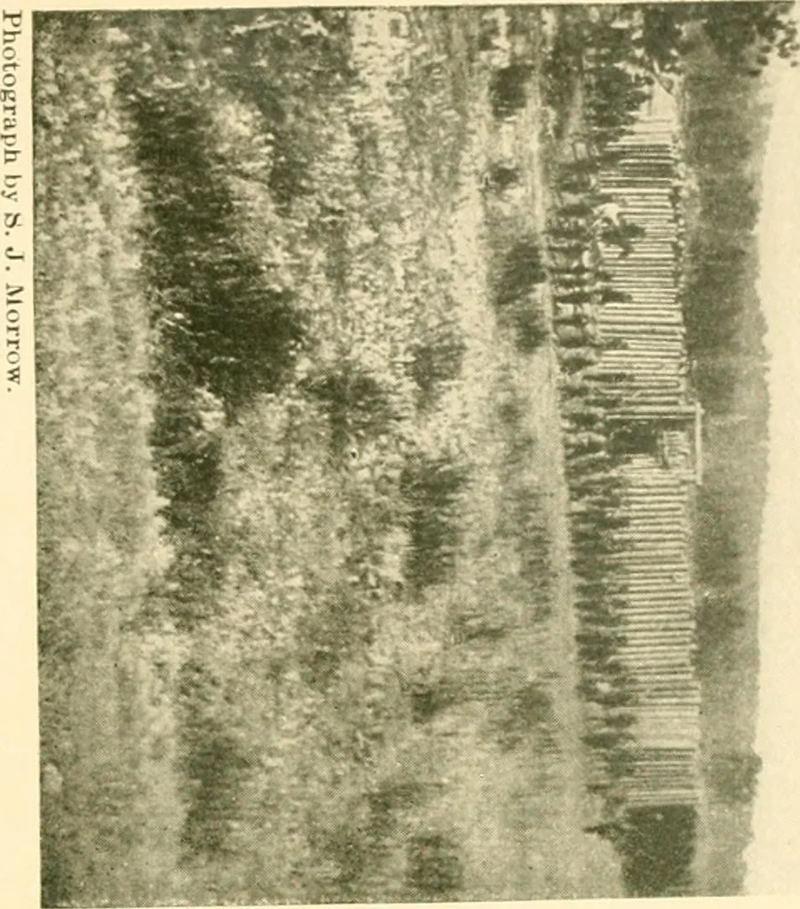 An illustration from The conquest of the Missouri; being the story of the life and exploits of Captain Grant Marsh, 1909, leaf 368
