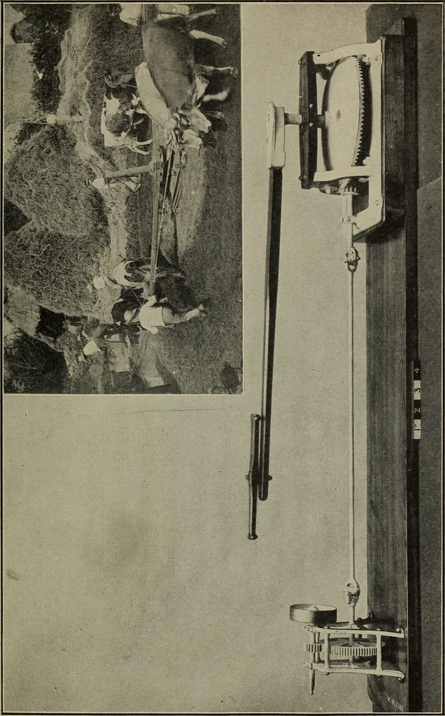 An illustration from The conquest of nature, 1911, leaf 48