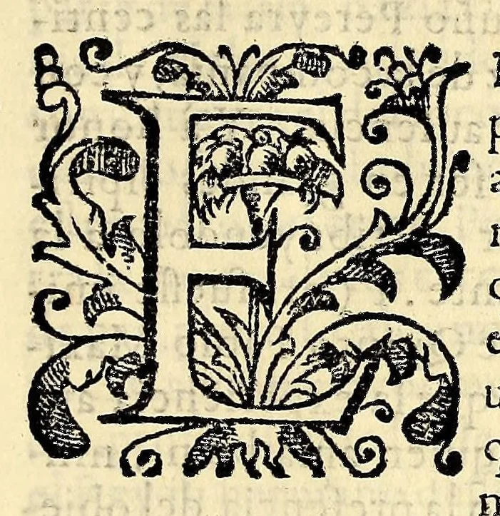An illustration from Conquista de las islas Malucas., 1609, leaf 107