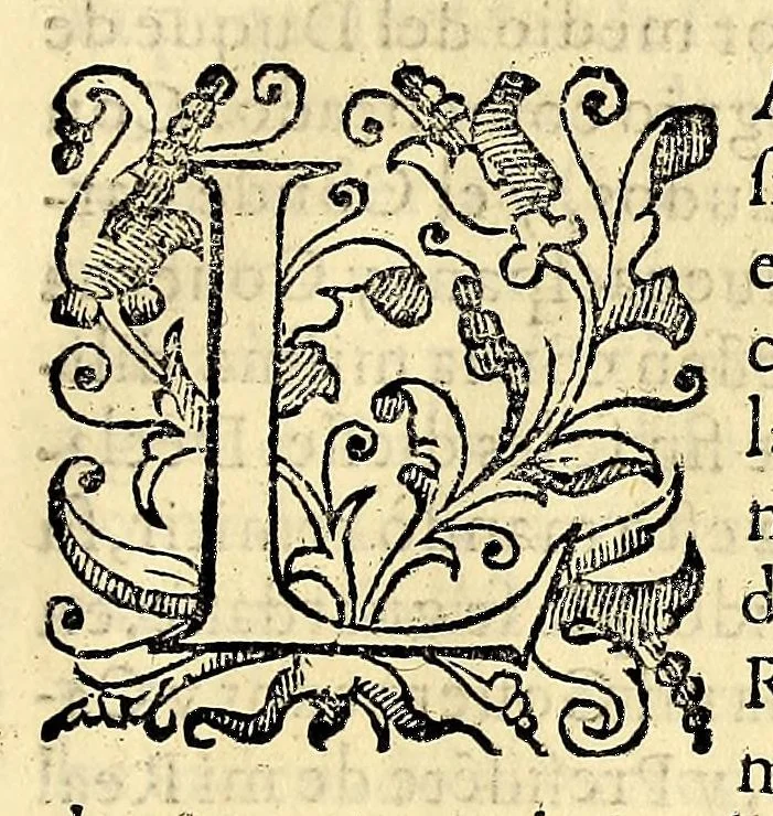 An illustration from Conquista de las islas Malucas., 1609, leaf 329