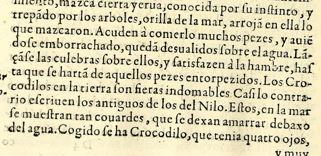 An illustration from Conquista de las islas Malucas., 1609, leaf 72