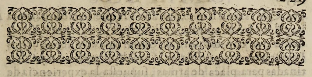 An illustration from Conquista de las islas Malucas al rey Felipe III, N[uestr]o S[en]or, 1609, leaf 245