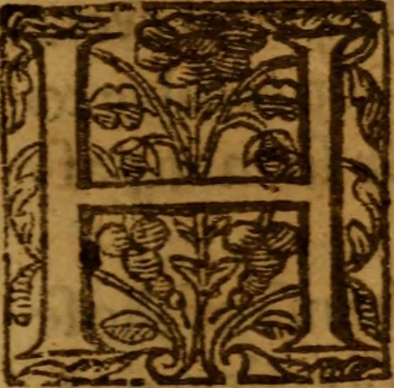 An illustration from Conscience with the power and cases thereof :, 1639, leaf 118