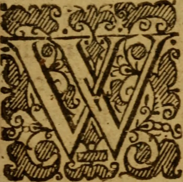 An illustration from Conscience with the power and cases thereof :, 1639, leaf 176