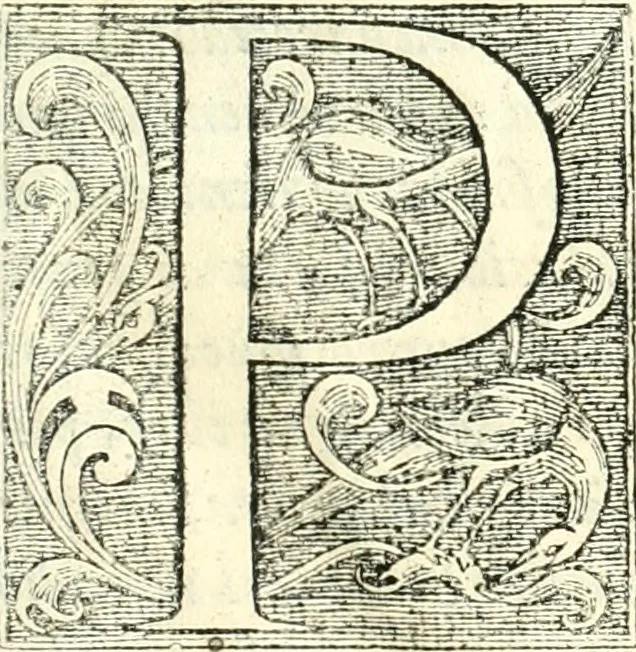 An illustration from [Conservación de monarqvias y discvrsos políticos sobre la gran consulta que el consejo hizo al Senor Rey don Filipe Tercero al presidente, 1626, leaf 12