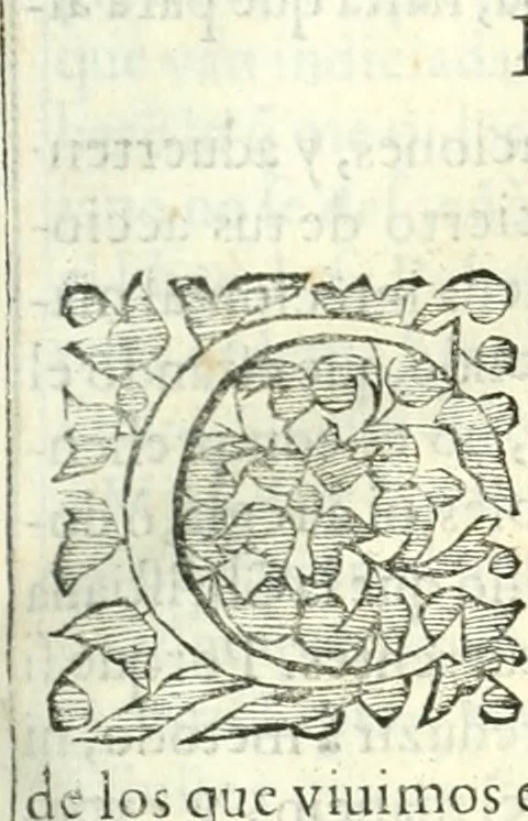 An illustration from [Conservación de monarqvias y discvrsos políticos sobre la gran consulta que el consejo hizo al Senor Rey don Filipe Tercero al presidente, 1626, leaf 324