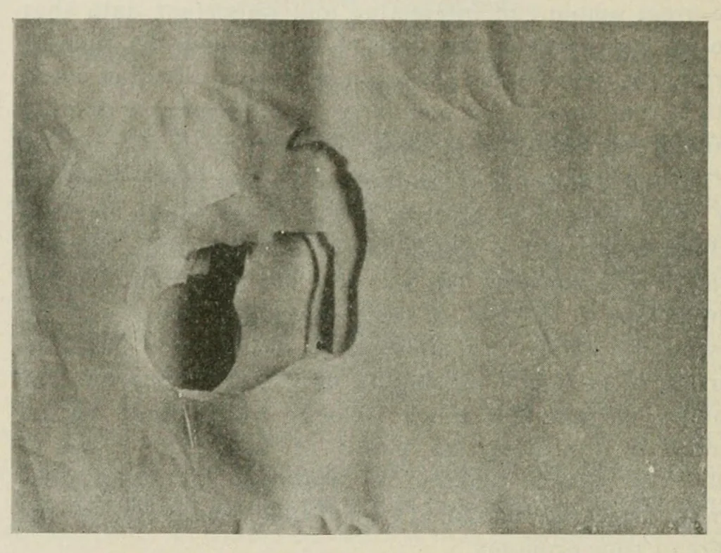 An illustration from The conservation of textiles, 1921, leaf 104