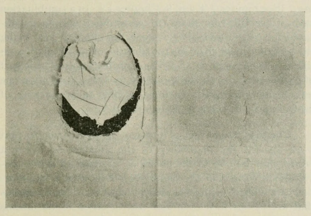 An illustration from The conservation of textiles, 1921, leaf 109