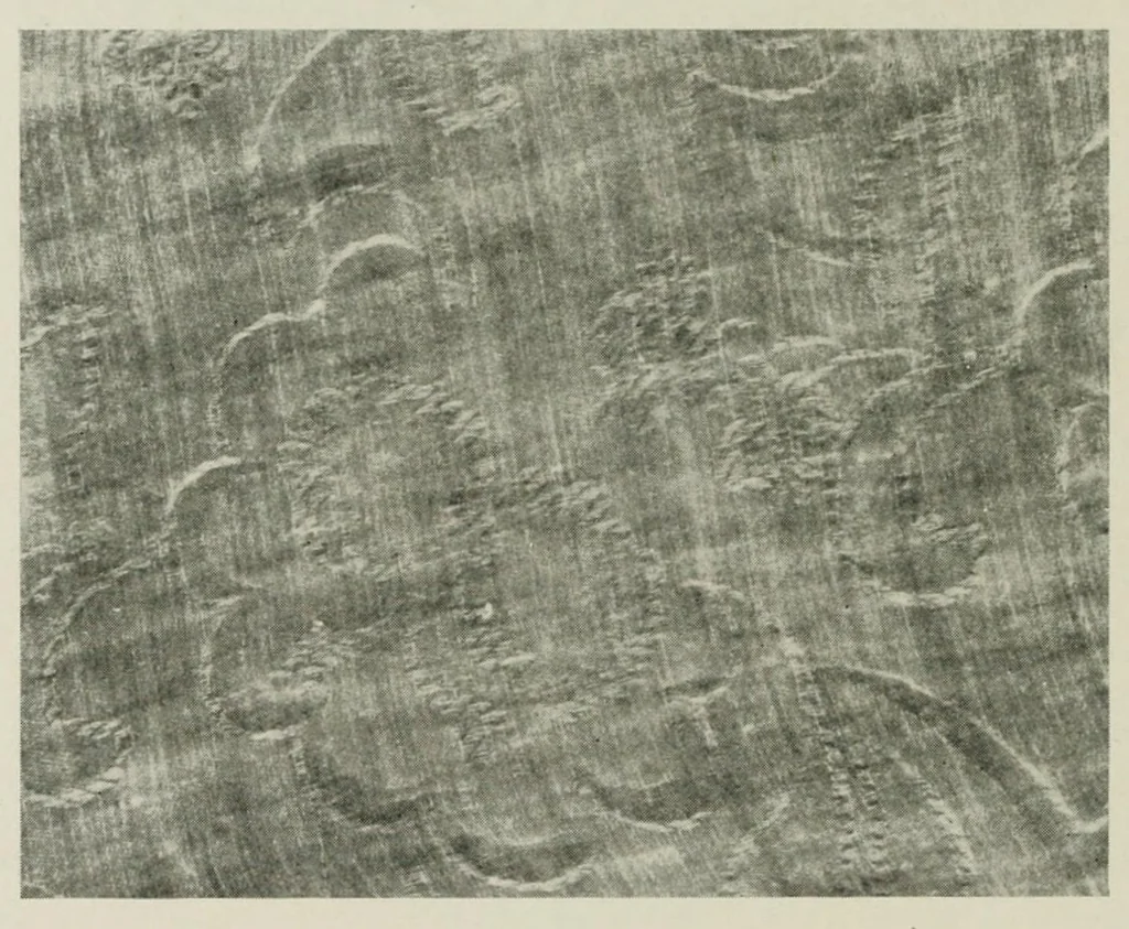An illustration from The conservation of textiles, 1921, leaf 50