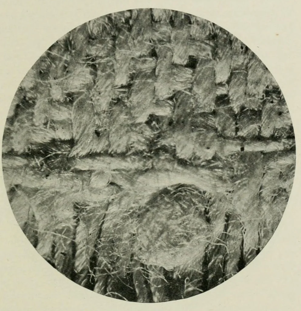 An illustration from The conservation of textiles, 1921, leaf 53