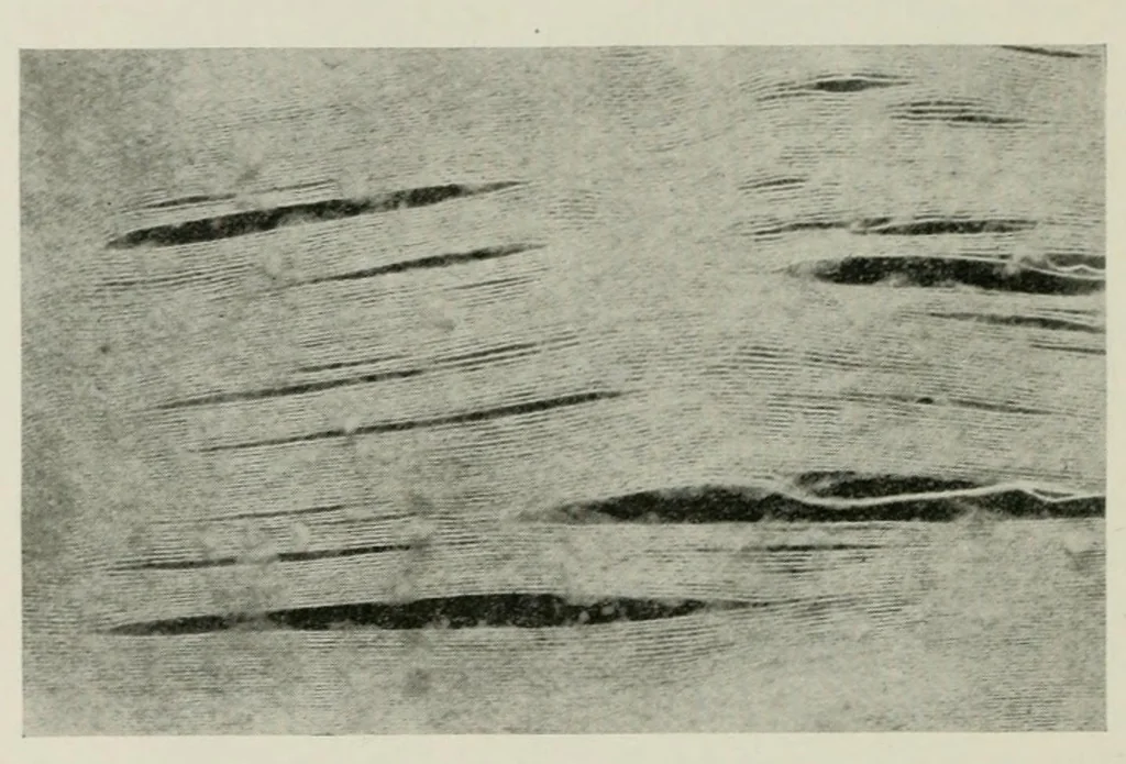 An illustration from The conservation of textiles, 1921, leaf 58