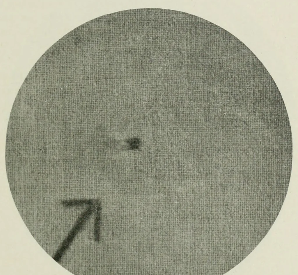 An illustration from The conservation of textiles, 1921, leaf 67