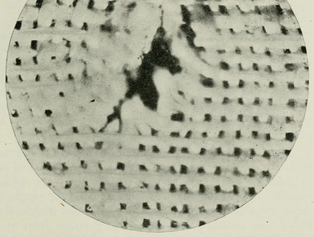 An illustration from The conservation of textiles, 1921, leaf 89