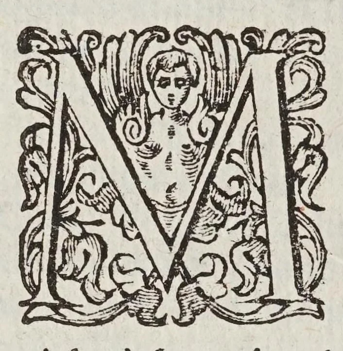 An illustration from Considerationi sopra la forza di alcvne ragioni fisicomattematiche : addotte dal M.R.P. Gio. Battista Riccioli ... nel suo Almagesto nuouo, & Astronomia riformata contro il sistema copernicano, 1667, leaf 380