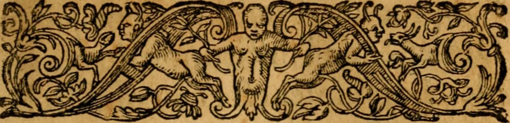 An illustration from Considerations sur les droits par lesquels la nature a reiglé les mariages, 1648, leaf 20