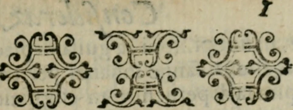 An illustration from Considerazioni d'Alimberto Mavri sopra alcvni lvoghi del Discorso di Lodouico delle Colombe intorno alla stella apparita 1604, 1606, leaf 14